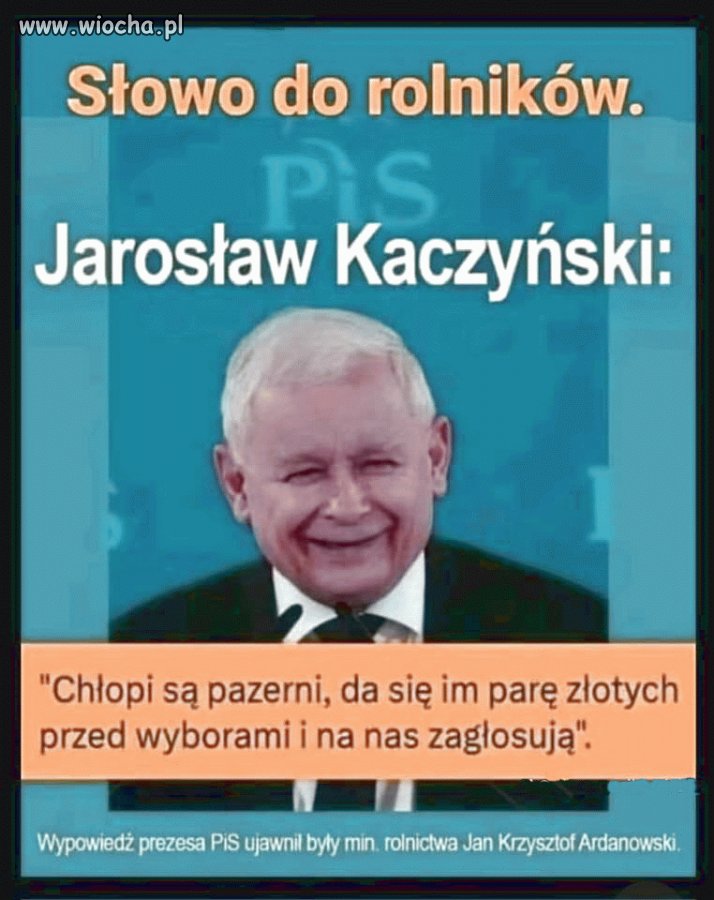 Głupi jak bamber