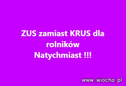 Nie ma na co czekać. Nie ma co się z nimi pieścić