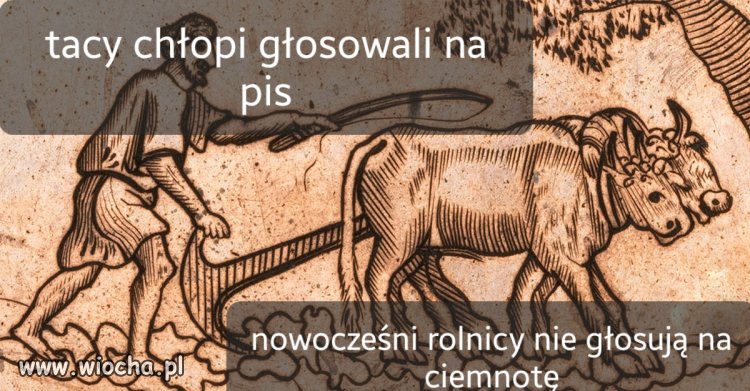 Chłopska ciemnota dalej głosuję za pańszczyzną