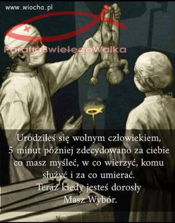 Urodziłeś się wolnym człowiekiem