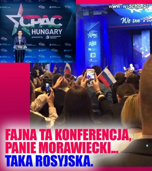 Nareszcie PiS "puścił farbę", to V kolumna Putina!