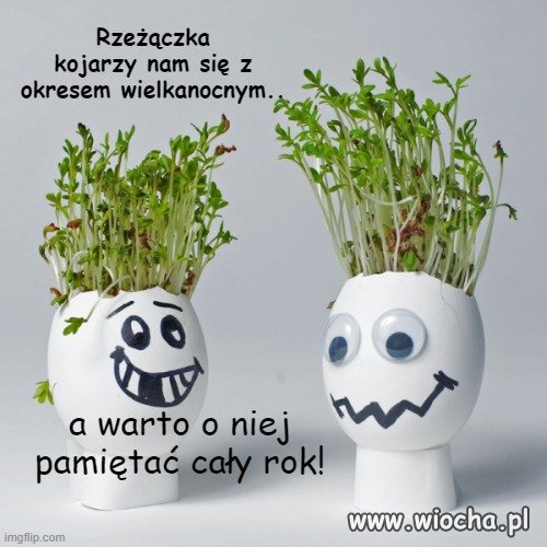 A może mi się