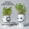 A może mi się