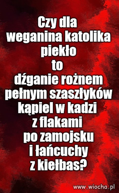 Kolega pytał