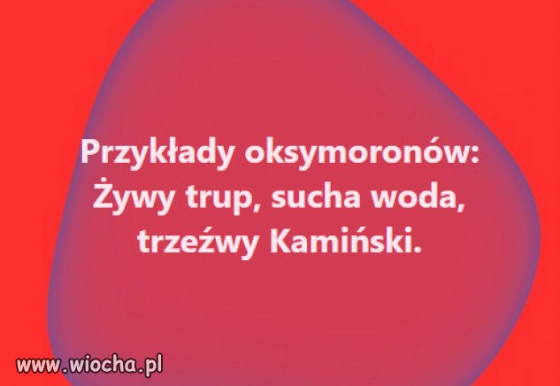 A świnia zawsze będzie świnią...