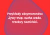 A świnia zawsze będzie świnią...