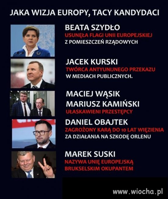Czy pasuje Wam taka, PiSowska wizja Europy ?