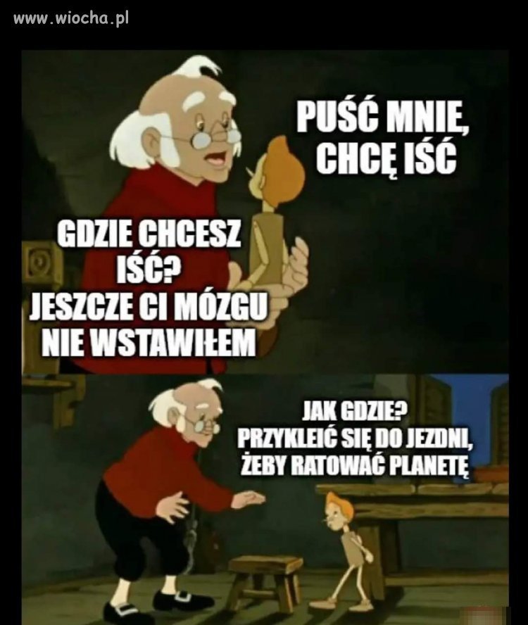 Trzba ratować