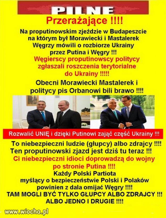 Prawica Putina to fałszywi patrioci!