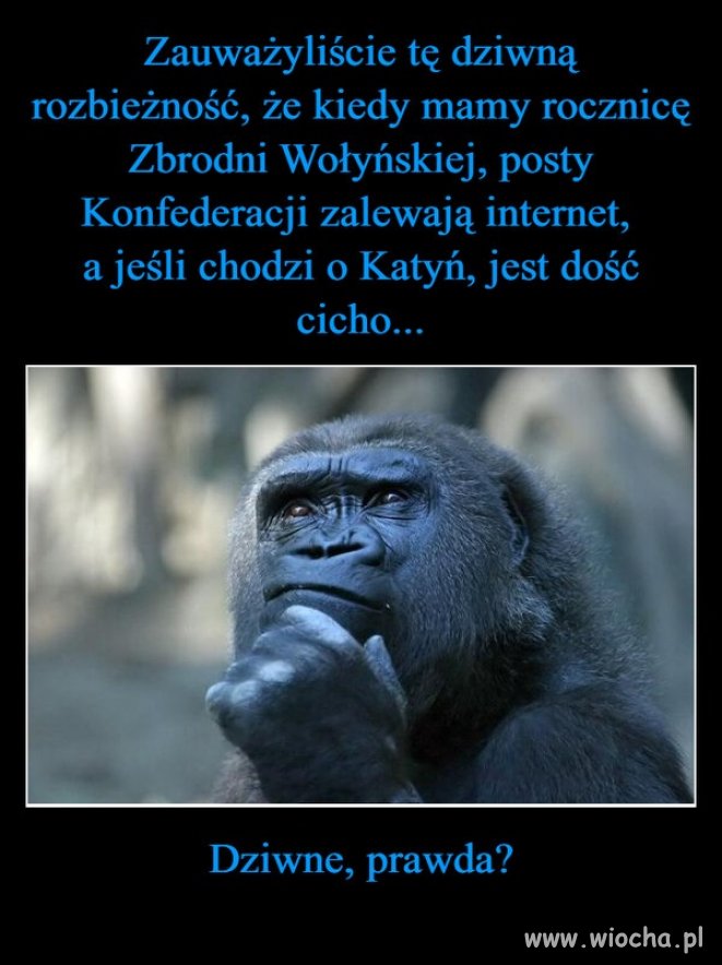 Ruskie trolle są wciąż aktywne na wiosce ...