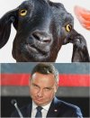 Pierwszy jest bardzo inteligentny, sprytny i samodzielny
