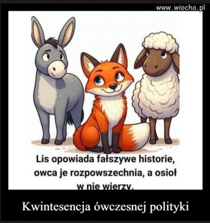 Morawiecki to byl prawdziwy "lis" PiSu...