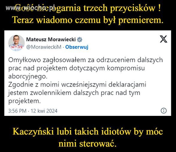 Cały pis