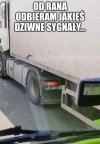 Głosy