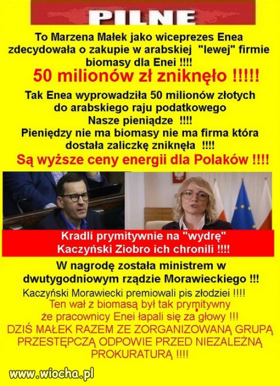 W Polsce trzeba kraść miliony by nie ponieść kary