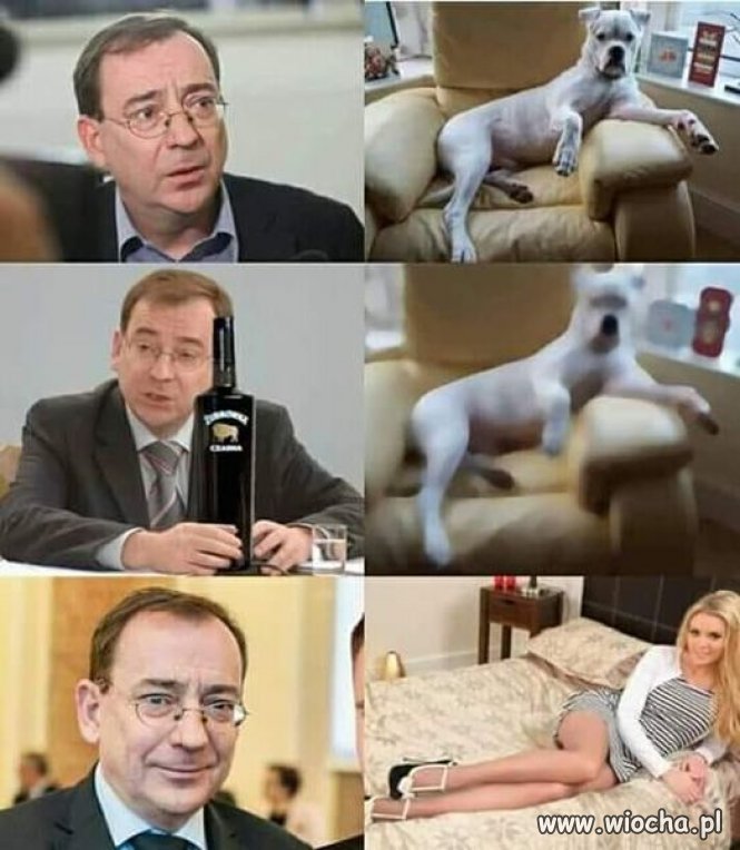Percepcja ex koordynatora służb specjalnych ...
