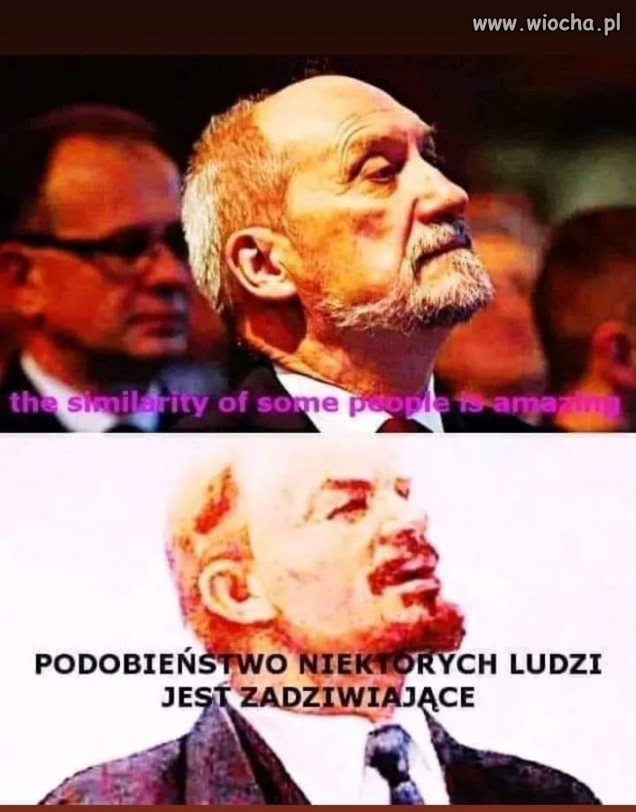 Jak myślicie ? Geny czy wychowanie ?
