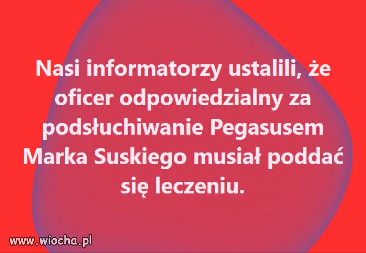 Niech zgadnę, psychiatrycznemu?