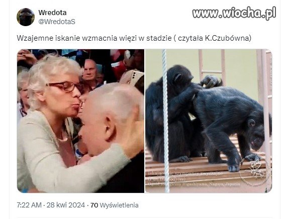 Iskanie