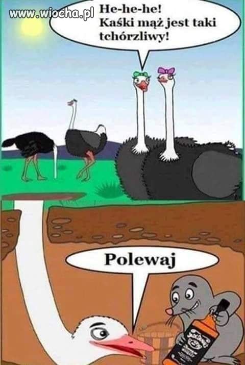 Majówka