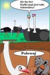 Majówka