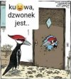 W świecie dzięciołów
