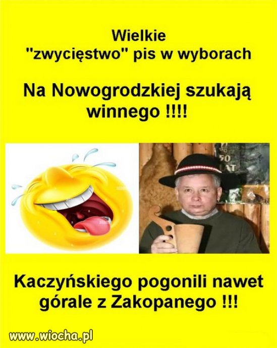 BRAWO! WYBORCY NARESZCIE ZMĄDRZELIŚCIE
