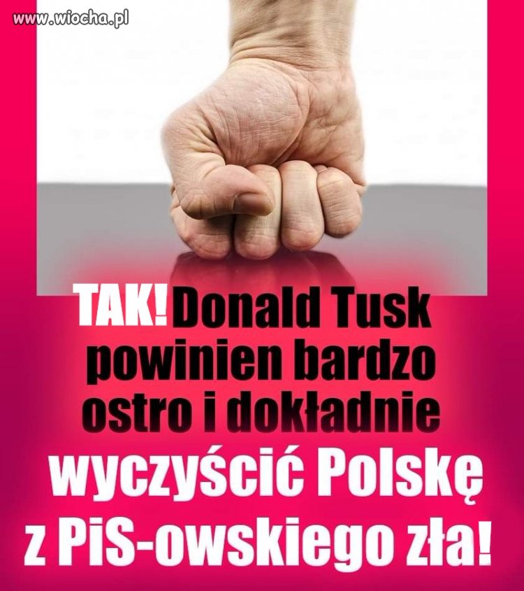 Bez wyczyszczenia Polski z PiSowskiego ZŁA