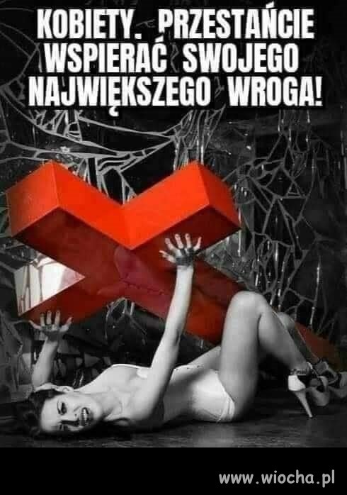 Nic dodać, nic ująć ...