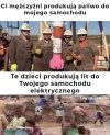 Wszystko ok