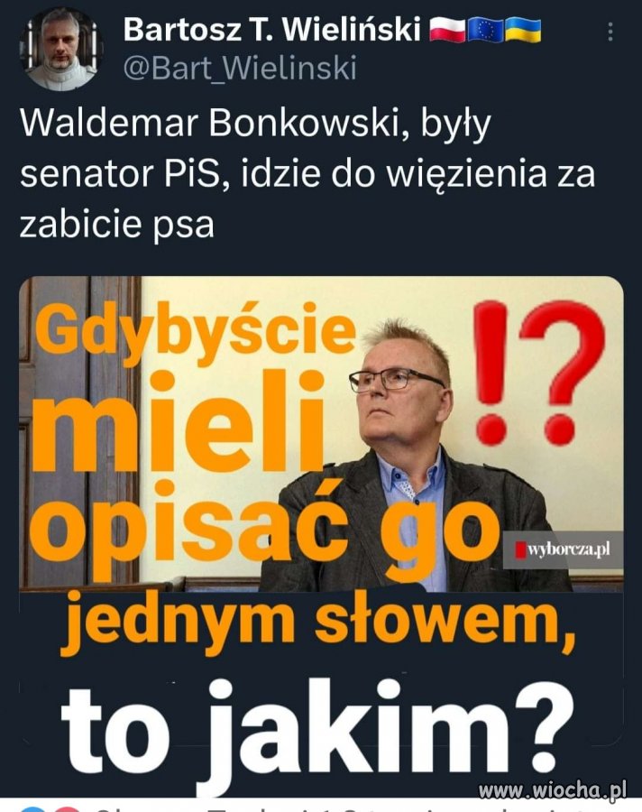 Co za śmieć 