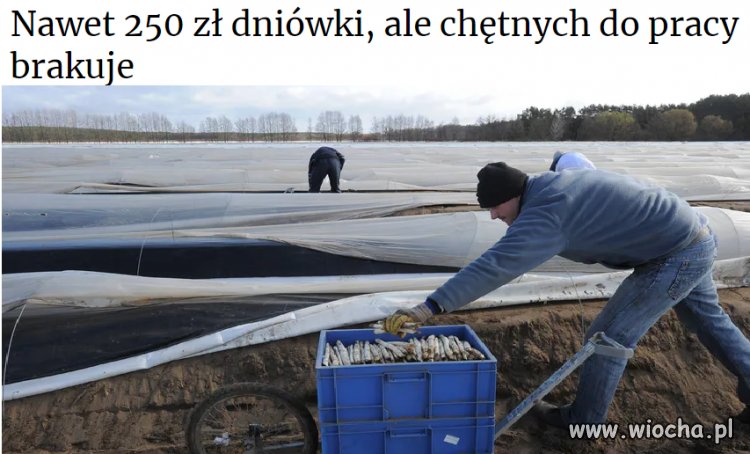 250zl za 10h pracy dziennie w upale i niewygodnej 