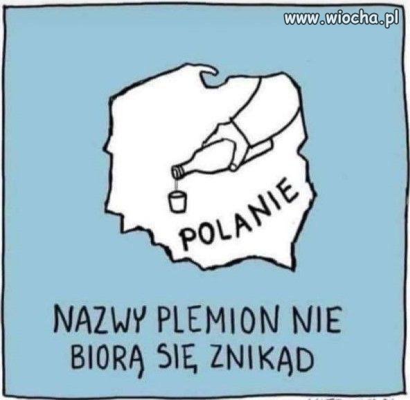 To nie mógł być przypadek 