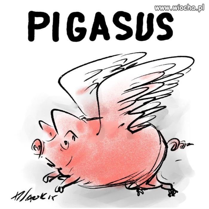 Ale świnia