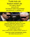 Czas rozliczen w Mafii PiSu...
