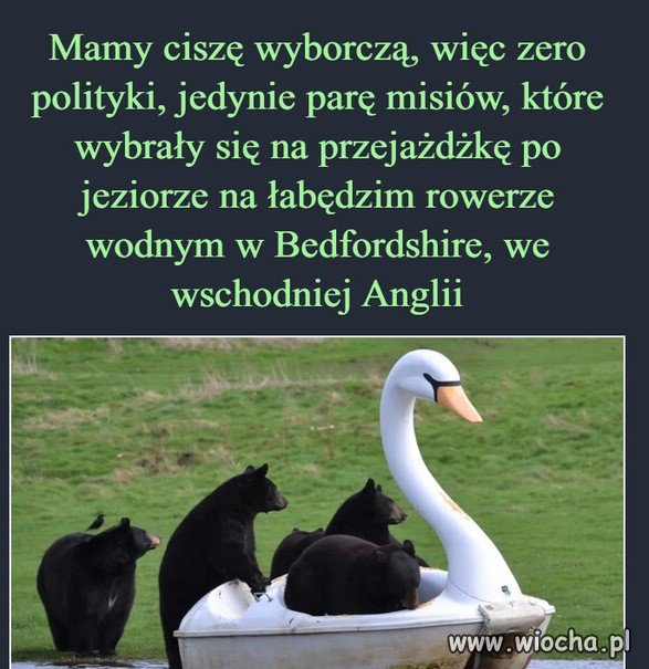 Cisza wyborcza