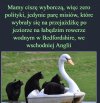 Cisza wyborcza