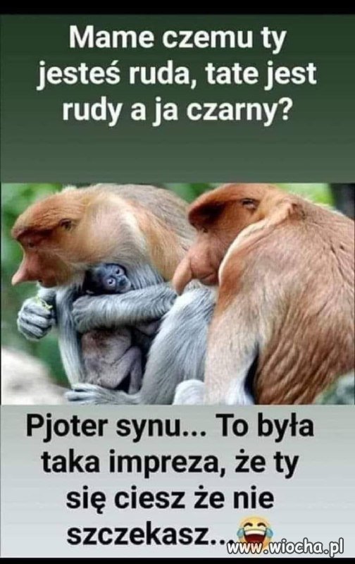 Impreza była udana 