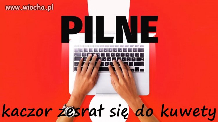 Przesłuchanie