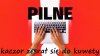 Przesłuchanie
