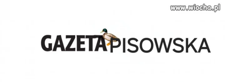 Nowe logo