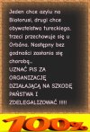 Pisowskie guano