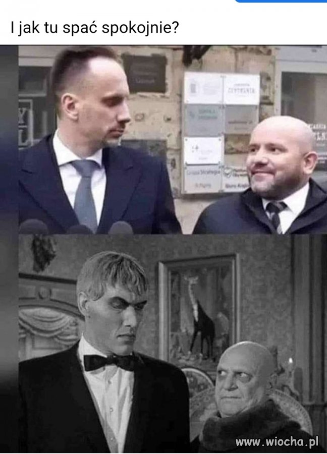Pisowscy " geniusze "