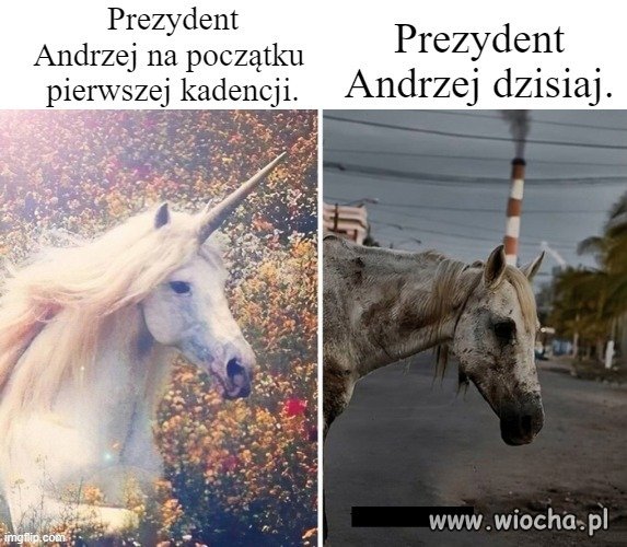 Przy robienia mema