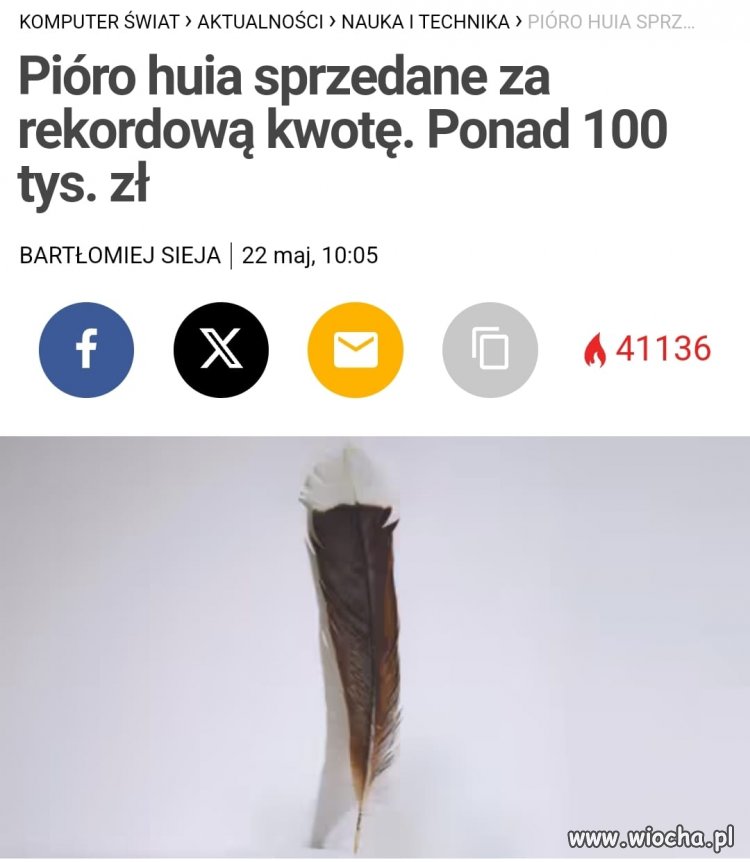 No, nie dziwię się...