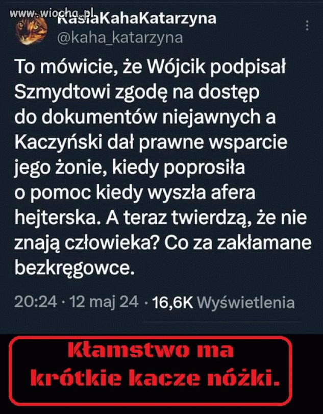 Pisowskie kanalie