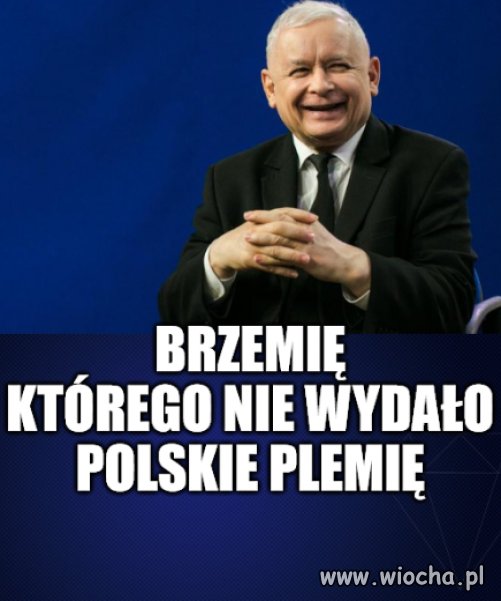 Zając cały w buraczkach