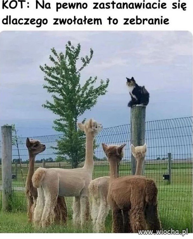 Spotkanie na szczycie