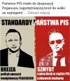 Pisowskie standardy 