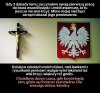 Tylko tam gdzie przez wszystkich chciane i szanowane 